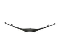 Pièces de grille de radiateur BLIC 6502-07-8157210P
