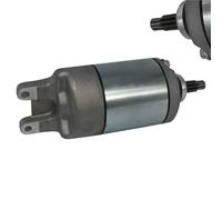 Pièces De Moteur De Moto, Démarreur Pour TRX300 TRX300FW 31200HA6-31649-5700-CACE Accessoires