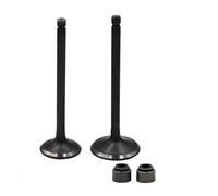 Pièces de moteur de moto, soupape d'admission et d'échappement for YBR250 TT-R230 TW200E TW225E TTR225 XG250 TRICKER XT250 XT225 Serow