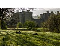 Pièces de Puzzle Adultes 100Beauté Naturelle, château, Champs, Angleterre, Bodiam, château 45,5 x 35,5 cm