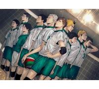 Pièces de Puzzle - Puzzle Difficile - Coloré - Affiches Classiques du Dessin animé Japonais Haikyuu !! Jouets éducatifs pour Enfants - Jouets stimulants personnalisés pour Adultes - 57x87cm