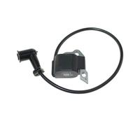 Pièces de rechange Module de bobine d'allumage for BP42 RBL42BP RY08420 RY08420B RY08420A RY42WB Powr XT 291424001 291424009,291424010