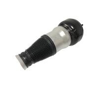 Pièces De Suspension Pneumatique Avant Ou Arrière D'A2223204713 A2223205313 Pour Le Ressort Pneumatique De Classe S Pour Mercedes W222 Amortisseur Ressort Suspension(De face)