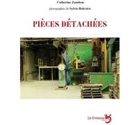 Pièces détachées : du travail à Fumel Catherine Zambon (Auteur)