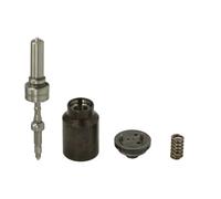 Pièces d'injecteur, système à rampe commune DELPHI 28429290