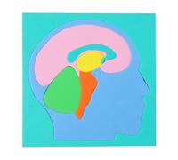 Pièces du Corps Puzzle - Modèle de Science EVA DIY Puzzle Cerveau Humain Puzzle d'anatomie Pédagogique | Cerveau Humain - pour Filles, Maison, École, Jardin d'