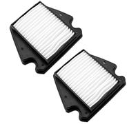 Pièces moto Lot De 2 Filtres À Air Pour Moto, Protection Moteur Pour Benda Pour Darkflag 500 Pour Commander BD500-2A