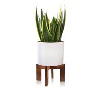 Pied de plante en bois, cache-pot moderne du milieu du siècle, support de pot de fleurs en rotin, petits supports de plante courts pour l'intérieur - tabouret rustique bohème en bois pour support de p