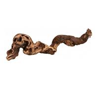 pied de vigne brulés 55?80 cm - pied de vigne brulés, XL: 55?80 cm - 76171