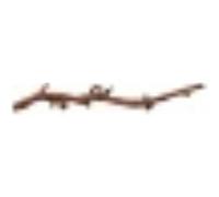 Pied De Vigne Brulés, L: 40-60 Cm - 76170 - Mon Animalerie G