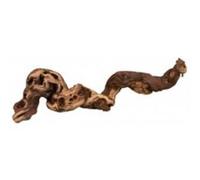 Pied De Vigne Brulés, M: 30-40 Cm - 76169 - Mon Animalerie G