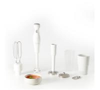 Pied mixeur Moulinex ROBOT MARIE 450 W + 4 ACCESSOIRES PIED MIXEUR DDG25110