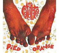 Pied Orange