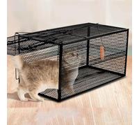 Piège À Animaux Vivants, Piège À Chats for Errants, Piège À Ratons Laveurs for Ratons Laveurs, Opossums, Marmottes, Mouffettes, Sauvages, Écureuils