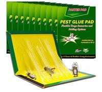 Piege a Cafard Colle Piège - 31.5 cm x 21 cm Attrape Cafard Puissant Professionnel, Plaque Collante Exterieur Efficace Interieur(10 Pièces)