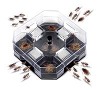 Piège À Cafards Non Toxique, Capture Physique, Sécurité Réutilisable Pour Enfants Et Animaux Domestiques, Appât Écologique, 1 Pièce