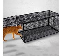 Piège À Chat, Cage Piège À Animaux Vivants, Piège À Chat for Chats Errants, Piège À Raton Laveur for Petit Chat Errant, Raton Laveur, Écureuil(50 * 18 * 18CM)