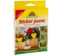 Piège à colle contre insectes 10 pieces