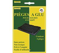 Piège à glue pour Souris - Lot de 4 pièges -