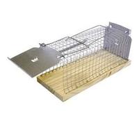 Piège à insectes Swissinno 1 585 001 pour lintérieur/extérieur G