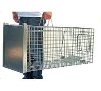 Piège à martres, Chats, Renards, castors 80 x 34 x 34 cm - avec appât supplémentaire