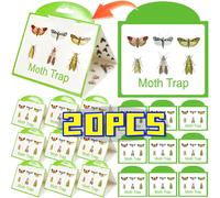 Piège à mites sûr, cadre vert, fond blanc, non toxique, collant, efficace pour attraper les mites des placards et des vêtements, contrôle des nuisibles dans la cuisine. 5PCS