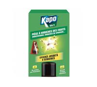 Piege à mouche des fruits