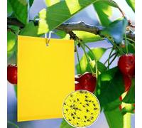 Piège à mouches double face jaune, 100 pièces, pièges jaunes double face pour insectes volants - serre et extérieur, pucerons, moucherons fongiques, moustiques, Ap
