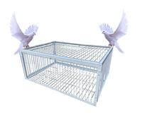 Piège à oiseaux avec porte de poulailler - Solution efficace pour attraper et reproduire des pigeons, des colombes et des perroquets