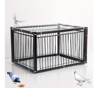 Piège à oiseaux avec porte poulailler pour attraper et élever efficacement les pigeons, colombes et perroquets