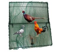 Piège à oiseaux domestique à ressort 3XL - Piège à dinde pour études aviaires - Camping en plein air - Cage de chasse - Pliable - Taille L : 89 x 99 cm