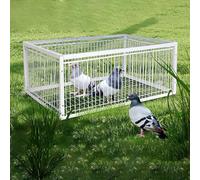 Piège à oiseaux - Grande cage pour pigeons, colombes et perroquets - Idéal pour l'élevage et la capture d'oiseaux