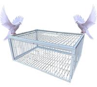 Piège à oiseaux pour pigeons, colombes et perroquets, attrape-oiseaux efficace pour l'élevage et la capture d'oiseaux, porte de poulailler durable pour installation de fenêtre