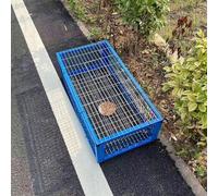 Piège à oiseaux pour pigeons, colombes, perroquets - Design double face pour attraper et reproduire efficacement - Idéal pour les courses et l'utilisation sur les fenêtres