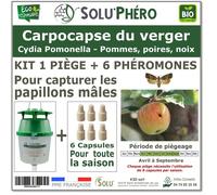 Piège à phéromones pour carpocapse - Tout pour les nuisibles - Kit avec 1 piège entonnoir - 6 phéromones Cydia pomonella