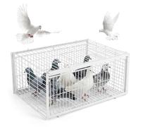 Piège à Pigeons Anti-évasion avec Deux entrées à Sens Unique Piège Oiseaux Portable pour toits, Jardins Ouverts, granges et fermes - Cage