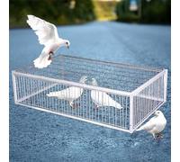 Piège à pigeons avec design anti-fugue - Portes unidirectionnelles durables et légères - Cage à pigeons avec entrée à sens unique