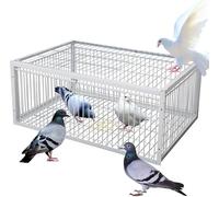 Piège à Pigeons avec Entrée à Sens Unique Cage De Piège à Oiseaux Facile à Assembler avec Conception Anti-évasion Collection Automatique De Pigeons Impor, One Color, 100x60x26CM