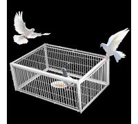 Piège à pigeons, entrée seulement, design anti-fuite, piège à oiseaux vivants pour petits oiseaux, cage à poules et oiseaux, construction durable, 60 x 40 x 26 cm