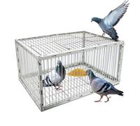 Piège à pigeons robuste avec design anti-fugue - Piège à oiseaux automatique pour grands oiseaux | Piège à oiseaux en fer revêtu de poudre pour plusieurs pigeons - Résistant à la rouille - Taille S
