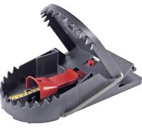 Piège à rats attractif Swissinno 1 180 019 pour lintérieur/extérieur