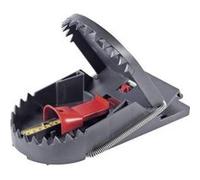 Piège à rats attractif Swissinno 1 180 019 pour l'intérieur/extérieur