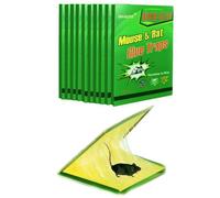 Piège à Souris - 10 Plaques de Glu Collante - Piège à Rats Efficace - Attrape Souris - Vert - 21 X 31 cm - Pour la Maison