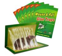 Piege a Souris Colle Collant 6 Pièces Pièges à Souris Attrape Anti Souris Rat Glue Plaque Collante Piège Souris et à Rat [6 Pièces]