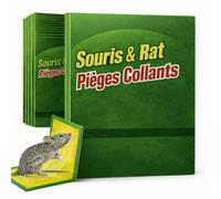 Piège à Souris et Rat Collant [Lot de 10] - Plaques de Glue XXL Extra Fortes 17×24 cm - Colle Professionnelle Longue Durée - Non Toxique - Maison, Garage, Cave