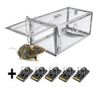 PièGe à Souris, Humain PièGes à Rat Cage Convient Aux Souris Accrocheuses Ou Aux Hamsters,1+5 Pièges à Souris