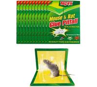 Piège à Souris, Piège à Rats Efficace, Attrape Souris - 10 Plaques de Glu Collante - Vert, Grande Taille 21 X 35 cm - Pour la Maison