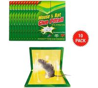 Piège à Souris Pièges à Rats Piège à Colle pour Rats Souris Pieges à Glue Très Efficace Tueur d'insectes Respecte 10PCS