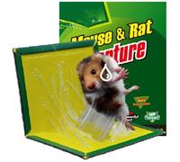 Piège à Souris Pièges à Rats Piège Souris Colle Pièges à Rats Plaques de glu Anti Souris Anti Rat 15PCS