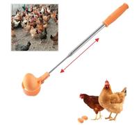 Piège à œufs pour poules - Outil de poignée extensible en acier inoxydable avec poignée antidérapante - Pelle à œufs longue portée pour la collecte des œufs frais de poulailler, nid d'oiseau et